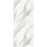 SPC wandpaneel Revolution 120x260cm