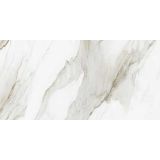 SPC wandpaneel Revolution 60x120cm (4 stuks)