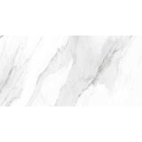 SPC wandpaneel Revolution 60x120cm (4 stuks)