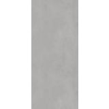 SPC wandpaneel Essence 120x280cm