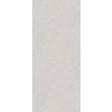 SPC wandpaneel Revolution 120x260cm