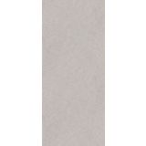 SPC wandpaneel Revolution 120x260cm