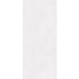 SPC wandpaneel Essence 120x280cm